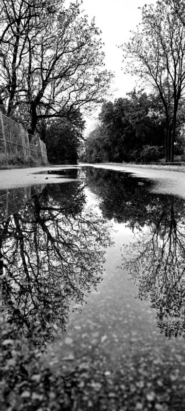 black and white photo of river in winter