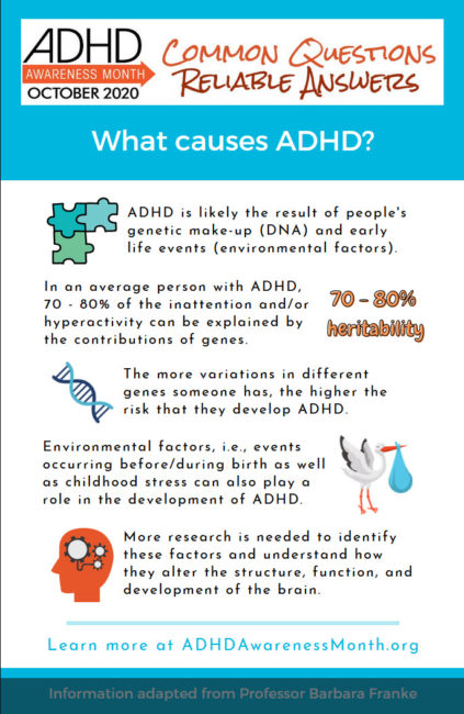 Infographic: What causes ADHD?