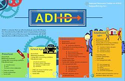 Infographic ADHD across lifespan