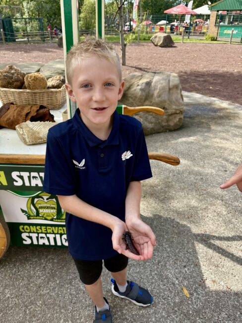 little boy with lizard in his hands